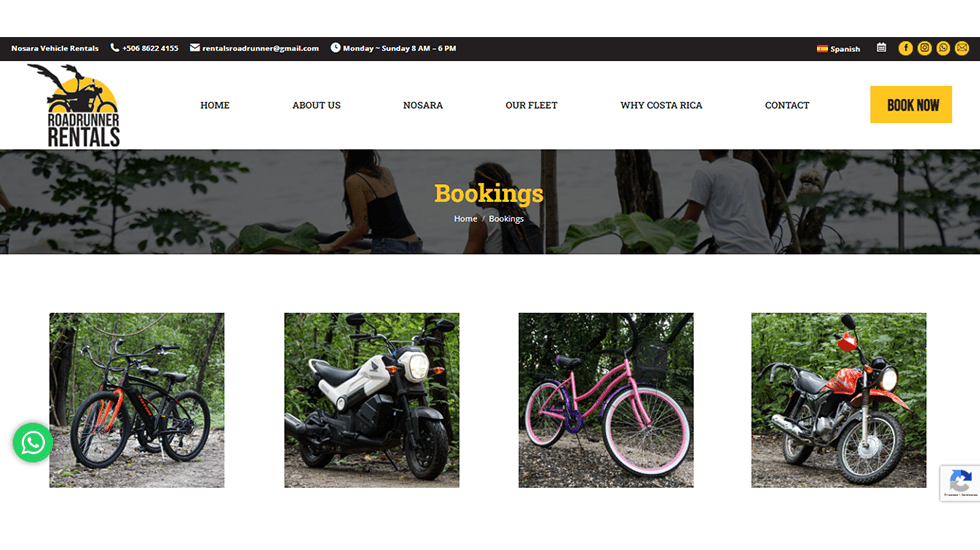 Road Runner Rentals