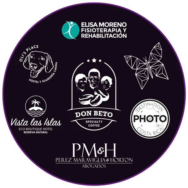 Diseño web y branding